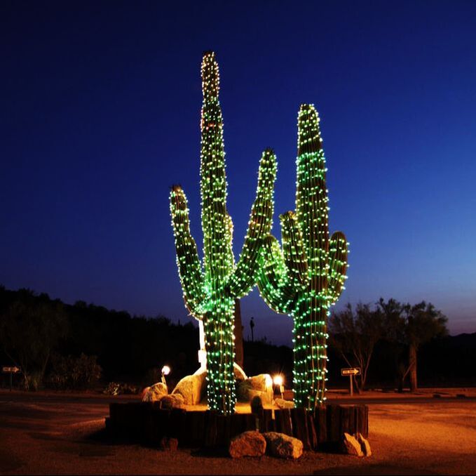 Christmas saguaro cactus